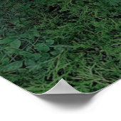 Poster Swing Imaginaire (Coin)