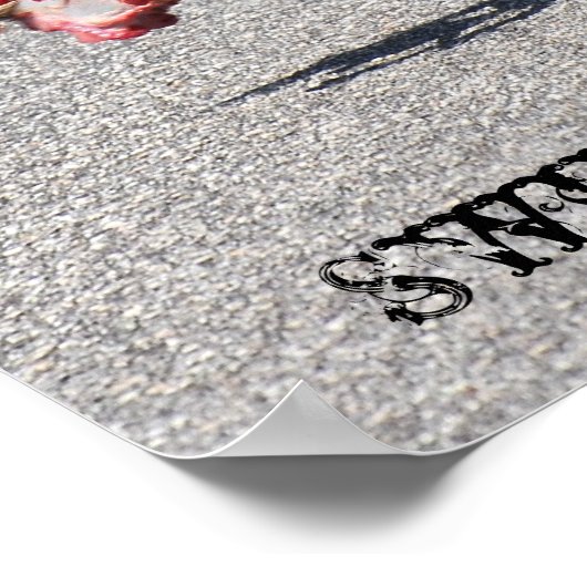 Poster Swing Your Partner Dosey Doe (Coin)