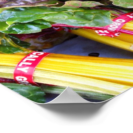 Poster Swiss Chard (Coin)