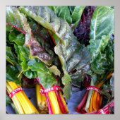 Poster Swiss Chard (Devant)