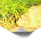 Poster Sydney Barangaroo Voyage pittoresque (Coin)