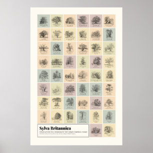 Poster Sylva Britannica