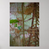 Poster Symbiose (Devant)