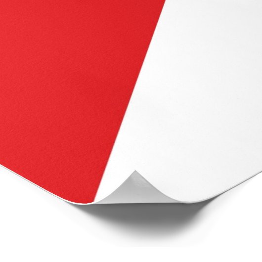 Poster Symbole carnaval Duck Pond Game (Coin)