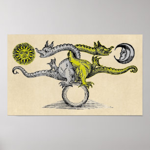 Poster Symbole de dragon d'or et d'argent
