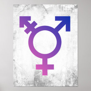 Poster Symbole de la fierté trans
