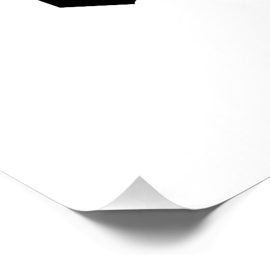 Poster Symbole de Ninja (Coin)