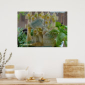Poster Symbole du jardin d'herbes (Cuisine)