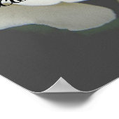 Poster Symbole du souvenir, Vous manquez, rose blanche (Coin)