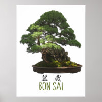Symbole et arbre de bonsaï japonais
