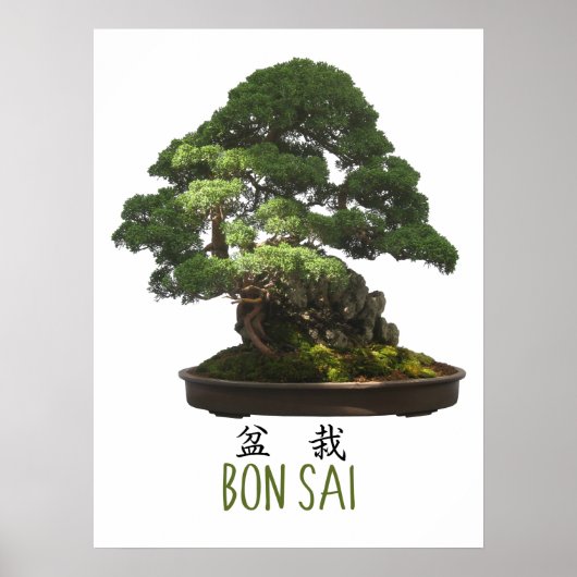 Poster Symbole et arbre de bonsaï japonais (Devant)
