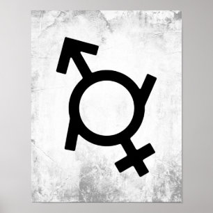 Poster Symbole genre Genderfluide