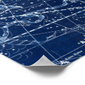 Poster Symbole Zodiaque Pisces Illustration Vintage (Coin)