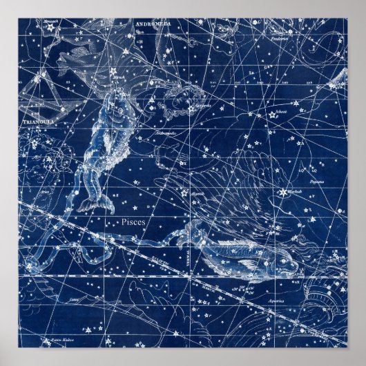 Poster Symbole Zodiaque Pisces Illustration Vintage (Devant)