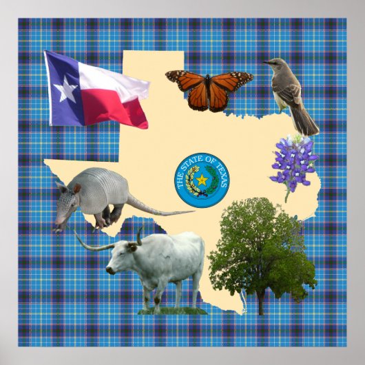 Poster Symboles d'état du Texas (Devant)