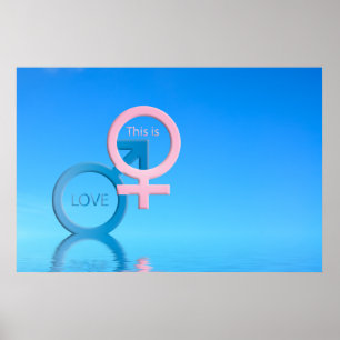Poster Symboles masculins et féminins