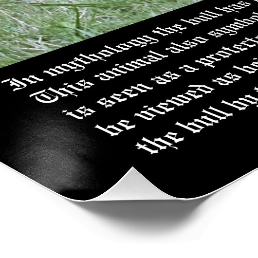 Poster Symbolisme Bull (Coin)