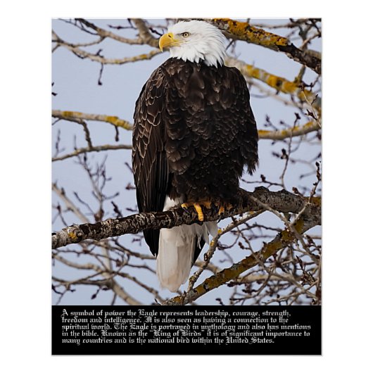 Poster Symbolisme de l'aigle (Devant)