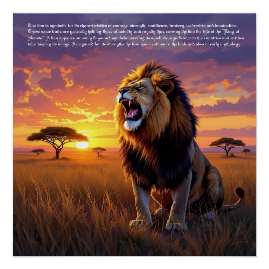 Poster Symbolisme du lion (Devant)