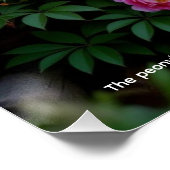 Poster Symbolisme du pivoine (Coin)