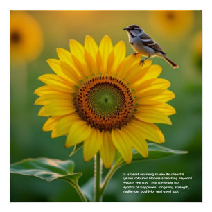 Poster Symbolisme du tournesol