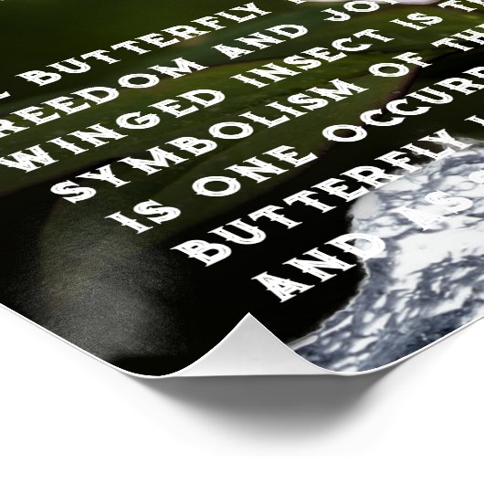 Poster Symbolisme Papillon (Coin)