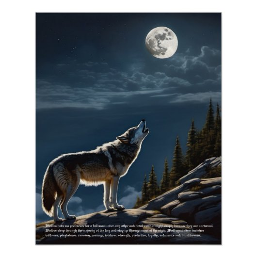 Poster Symbolisme Wolf (Devant)
