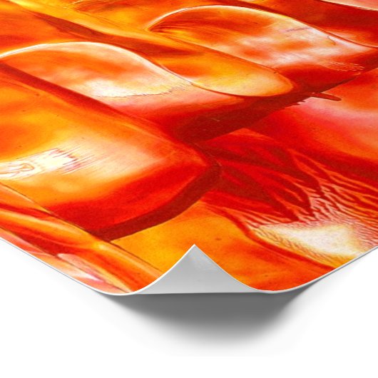 Poster Symétrie (Coin)