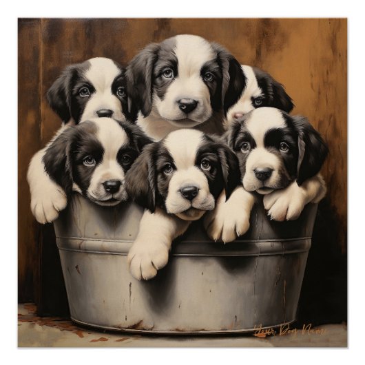 Poster Sympathique Saint Bernard Chiens de Chiot 001 - Ra (Devant)