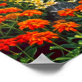 Poster Symphonie d'automne. Harmonie florale de la nature (Coin)