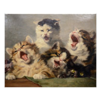 Symphonie de chatons par Julius Adam II