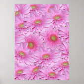 Poster Symphonie de Gerberas roses, (Devant)