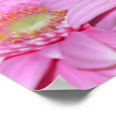 Poster Symphonie de Gerberas roses, (Coin)