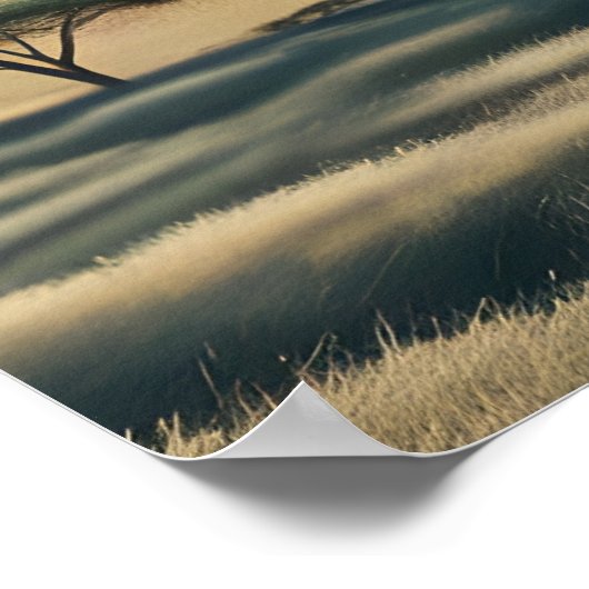 Poster Symphonie des primates (Coin)