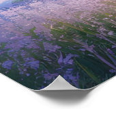 Poster Symphonie vivante de Meadow (Coin)