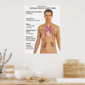 Poster Symptômes principaux de la tuberculose extrapulmon (Cuisine)