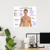 Poster Symptômes principaux du diagramme de toxicité du d (Bureau à domicile)