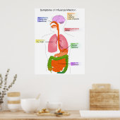 Poster Symptômes principaux d'un diagramme d'infection gr (Cuisine)