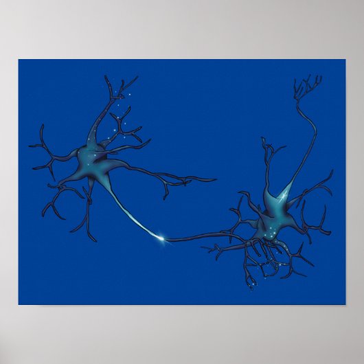 Poster Synapse Entre Neurons, Neuroscience Neuron (Devant)