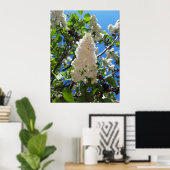 Poster Syringa, Arbre à fleurs blanc Lilac (Bureau à domicile)
