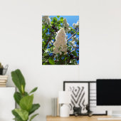Poster Syringa, Arbre à fleurs blanc Lilac (Bureau à domicile)