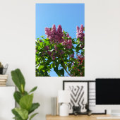 Poster Syringa , arbre à fleurs de lilas (Bureau à domicile)