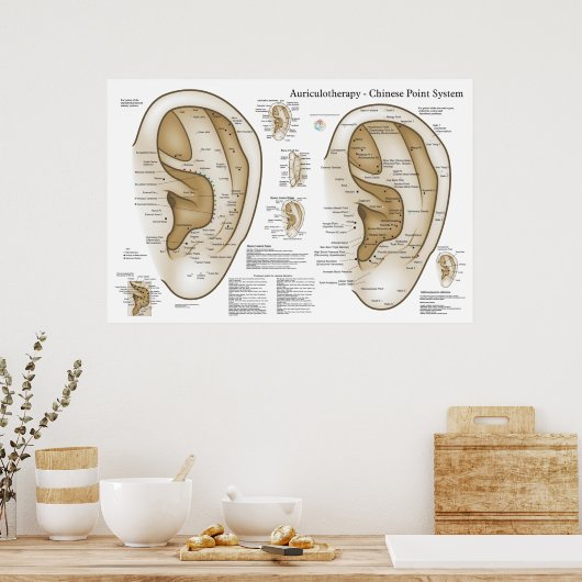 Poster Système chinois d'acupuncture auriculaire (Cuisine)