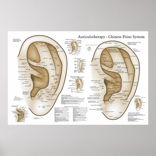 Poster Système chinois d'acupuncture auriculaire (Devant)