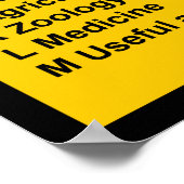 Poster Système de classification des cônes par lettre (Coin)