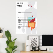 Poster Système digestif (Bureau à domicile)