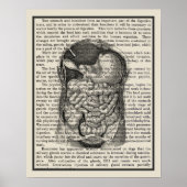 Poster Système digestif Anatomie Art Imprimer #1 (Devant)