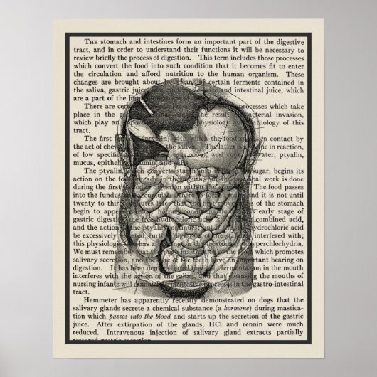 Poster Système digestif Anatomie Art Imprimer #1 (Devant)