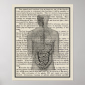 Poster Système digestif Anatomie Art Imprimer #5 (Devant)