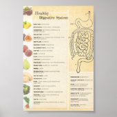 Poster Système digestif sain (Devant)